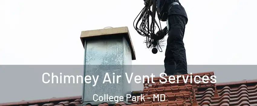  Chimney Air Vent Services College Park - MD