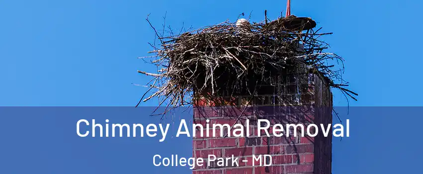  Chimney Animal Removal College Park - MD