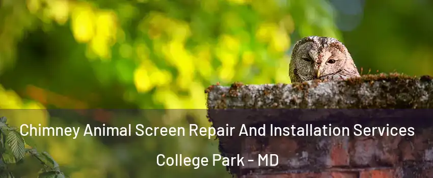  Chimney Animal Screen Repair And Installation Services College Park - MD