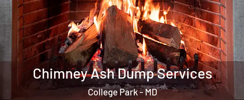  Chimney Ash Dump Services College Park - MD