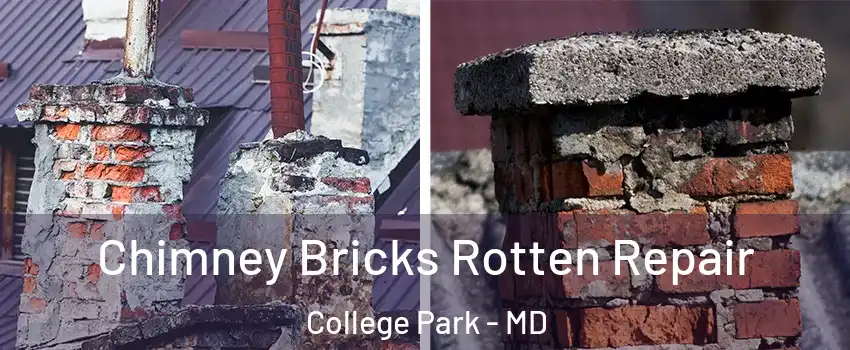  Chimney Bricks Rotten Repair College Park - MD