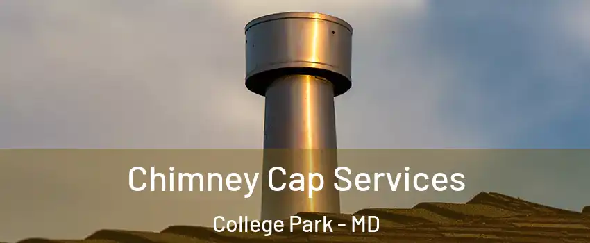  Chimney Cap Services College Park - MD