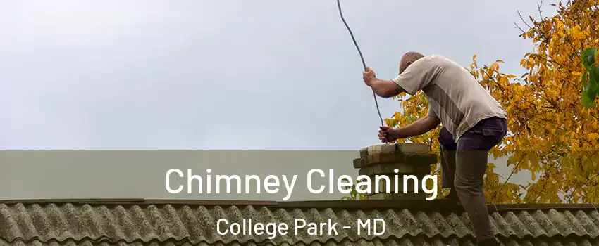  Chimney Cleaning College Park - MD