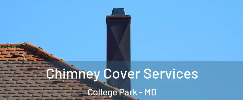  Chimney Cover Services College Park - MD