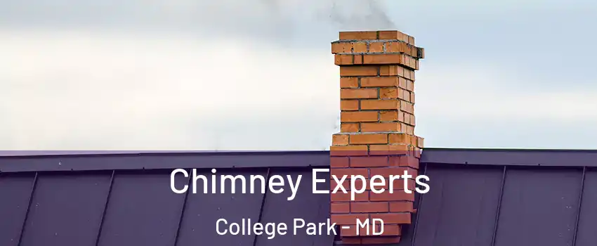 Chimney Experts College Park - MD