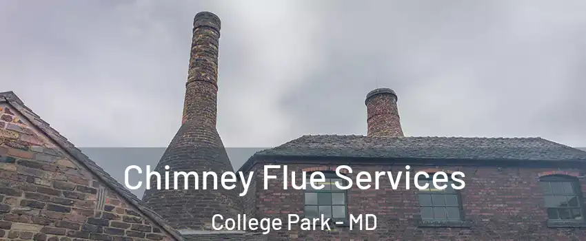  Chimney Flue Services College Park - MD
