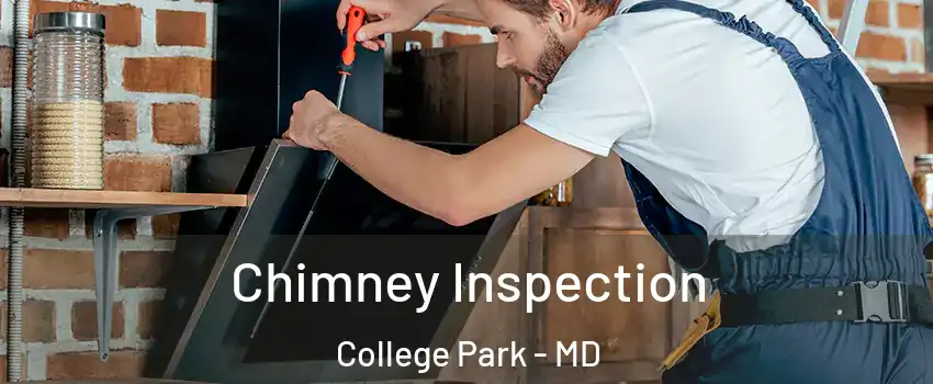  Chimney Inspection College Park - MD