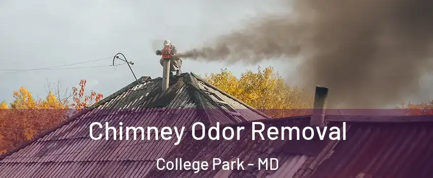  Chimney Odor Removal College Park - MD
