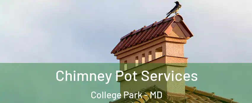  Chimney Pot Services College Park - MD