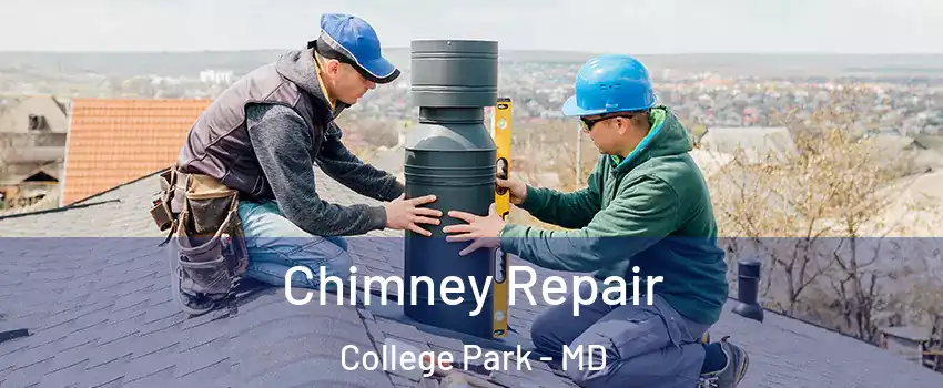  Chimney Repair College Park - MD