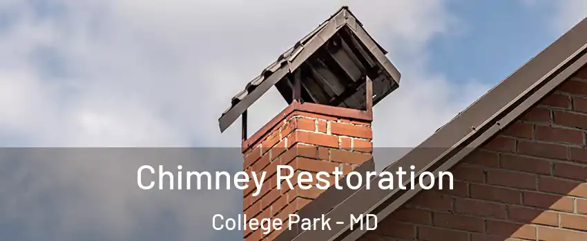  Chimney Restoration College Park - MD