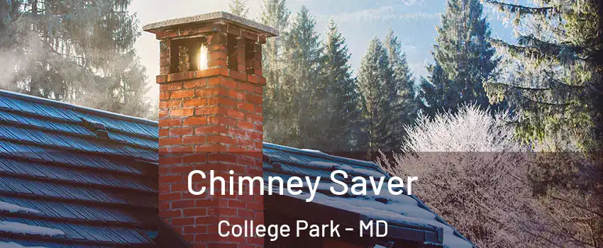  Chimney Saver College Park - MD
