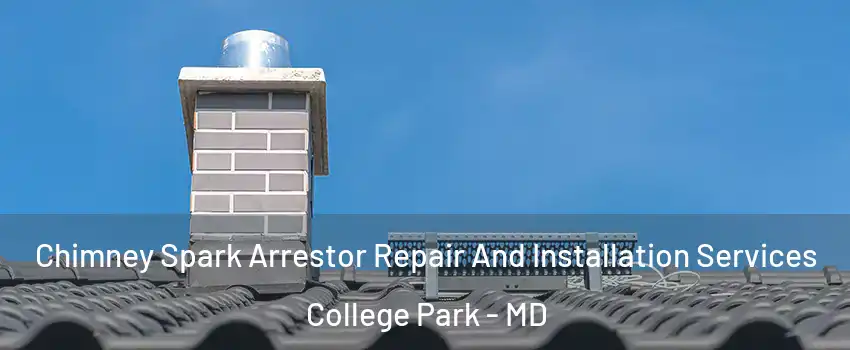  Chimney Spark Arrestor Repair And Installation Services College Park - MD