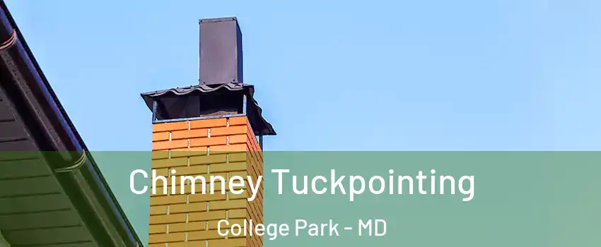  Chimney Tuckpointing College Park - MD