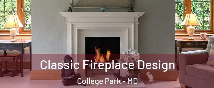  Classic Fireplace Design College Park - MD