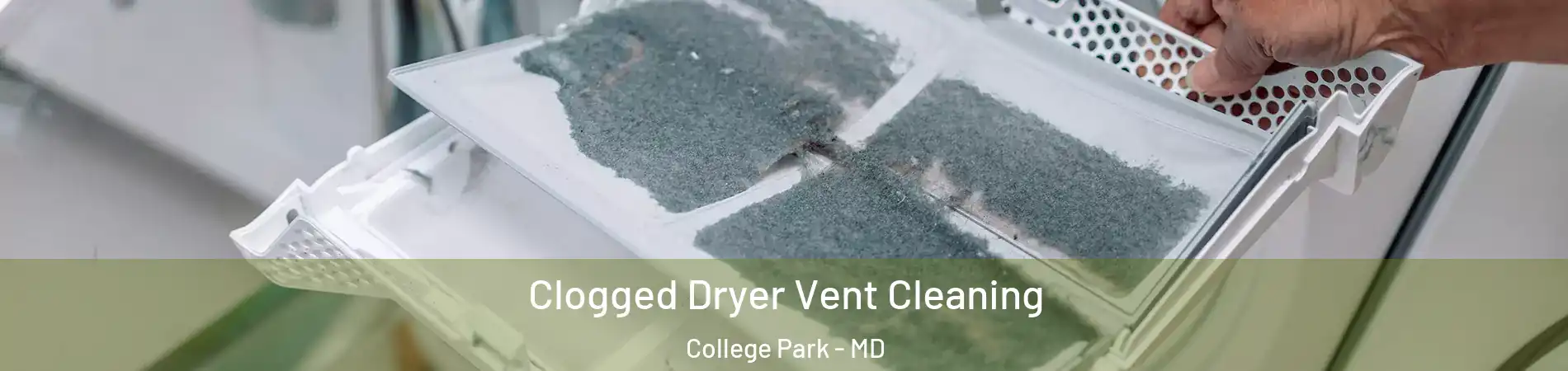  Clogged Dryer Vent Cleaning College Park - MD