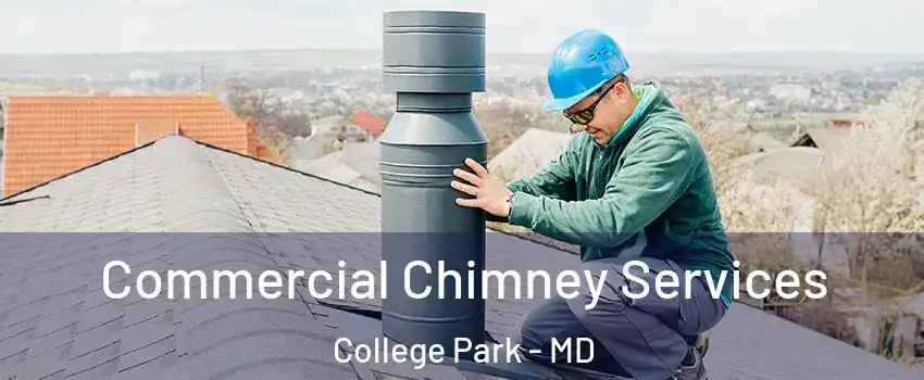  Commercial Chimney Services College Park - MD
