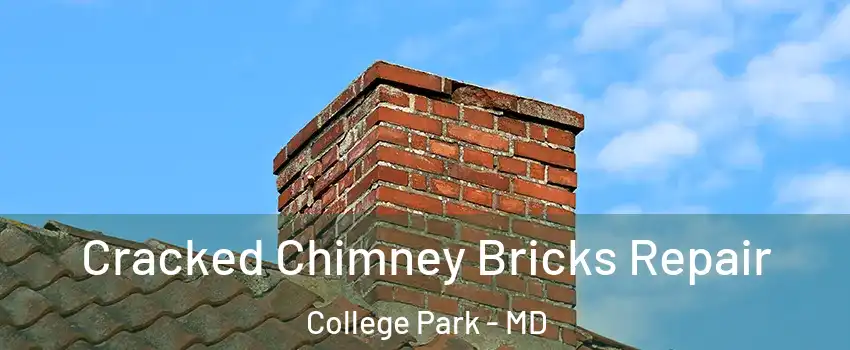  Cracked Chimney Bricks Repair College Park - MD