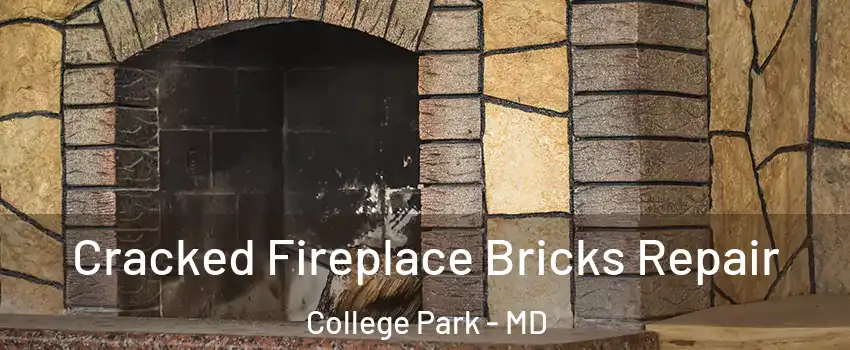  Cracked Fireplace Bricks Repair College Park - MD