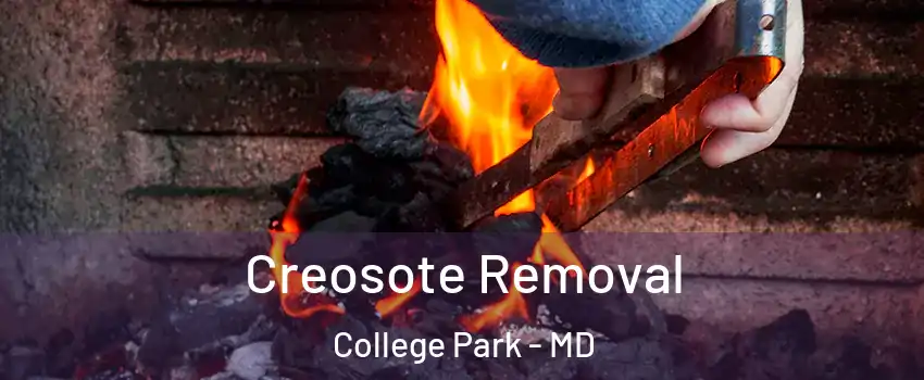  Creosote Removal College Park - MD