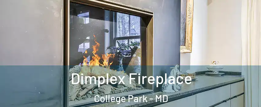  Dimplex Fireplace College Park - MD