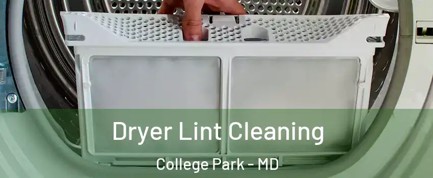  Dryer Lint Cleaning College Park - MD