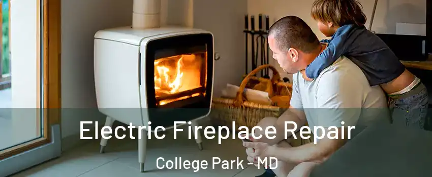  Electric Fireplace Repair College Park - MD