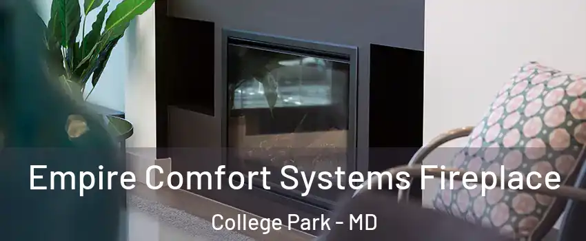  Empire Comfort Systems Fireplace College Park - MD