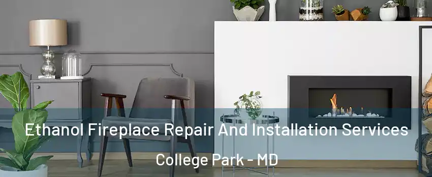  Ethanol Fireplace Repair And Installation Services College Park - MD