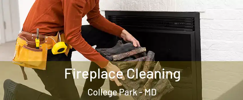  Fireplace Cleaning College Park - MD