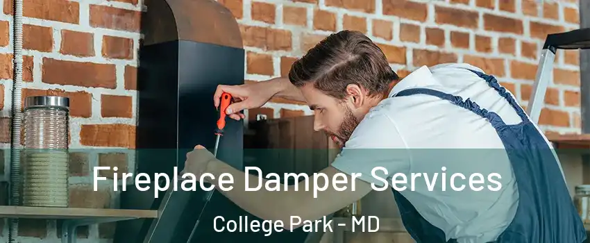  Fireplace Damper Services College Park - MD