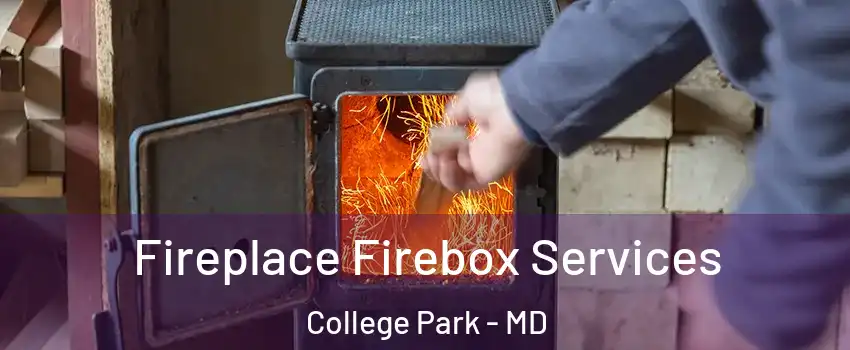  Fireplace Firebox Services College Park - MD