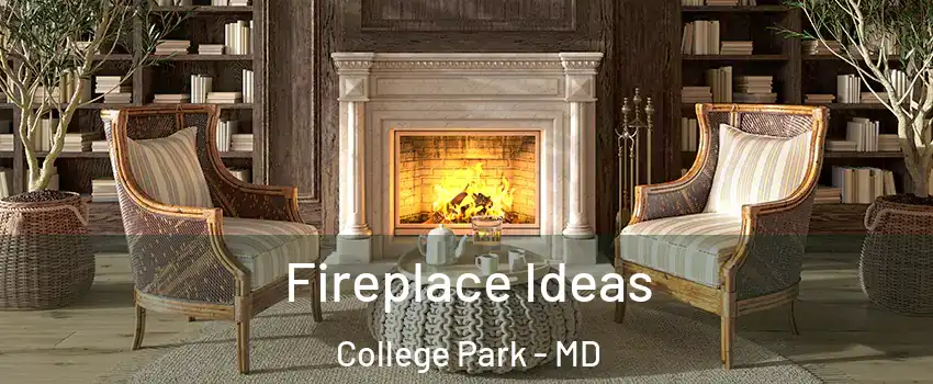  Fireplace Ideas College Park - MD