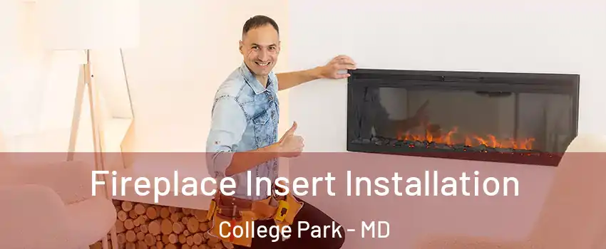  Fireplace Insert Installation College Park - MD