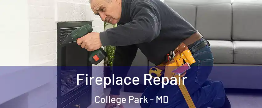  Fireplace Repair College Park - MD