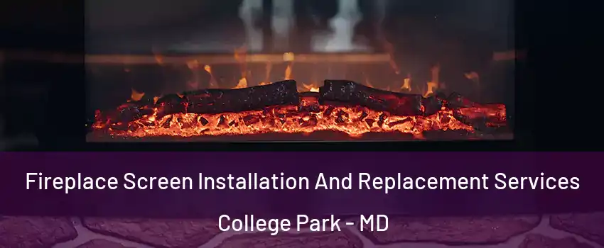  Fireplace Screen Installation And Replacement Services College Park - MD