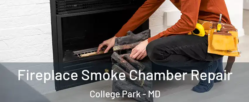  Fireplace Smoke Chamber Repair College Park - MD