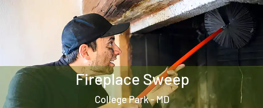  Fireplace Sweep College Park - MD