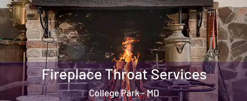  Fireplace Throat Services College Park - MD