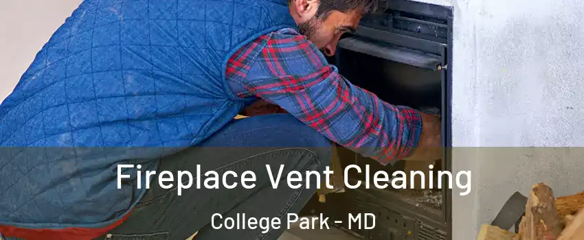  Fireplace Vent Cleaning College Park - MD