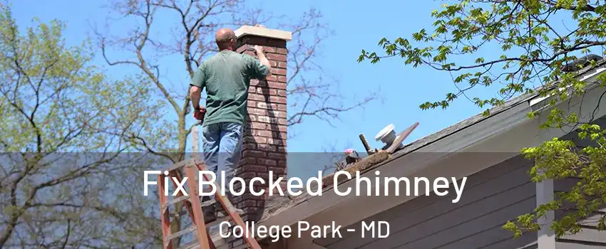  Fix Blocked Chimney College Park - MD