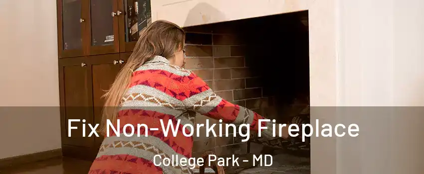  Fix Non-Working Fireplace College Park - MD