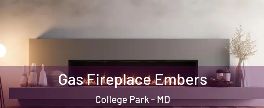  Gas Fireplace Embers College Park - MD