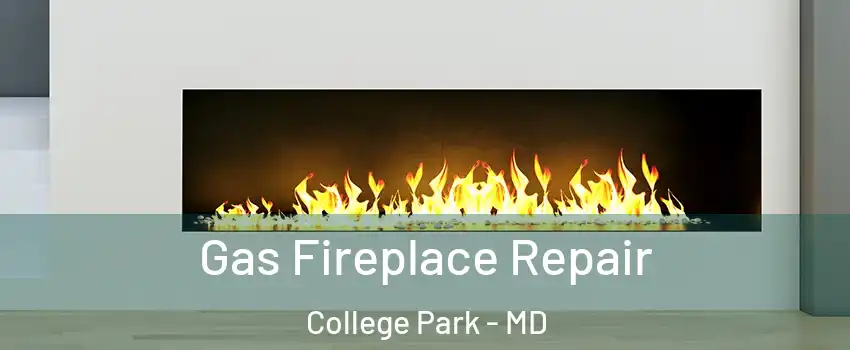  Gas Fireplace Repair College Park - MD
