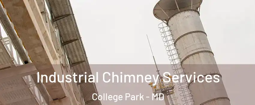  Industrial Chimney Services College Park - MD