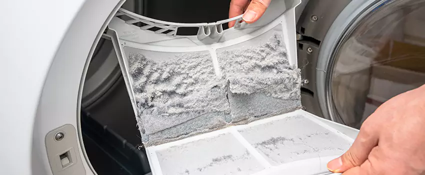 Best Dryer Lint Removal Company in College Park, Maryland