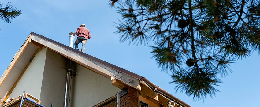 Birds Removal Contractors from Chimney in College Park, MD