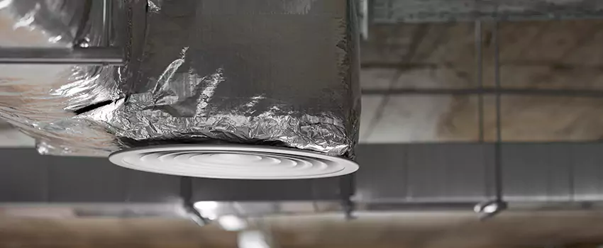 Signs of Dust Accumulation in Vents in College Park, MD