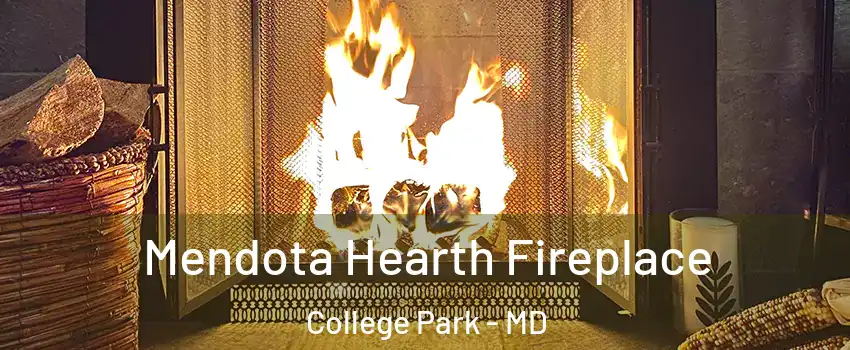  Mendota Hearth Fireplace College Park - MD