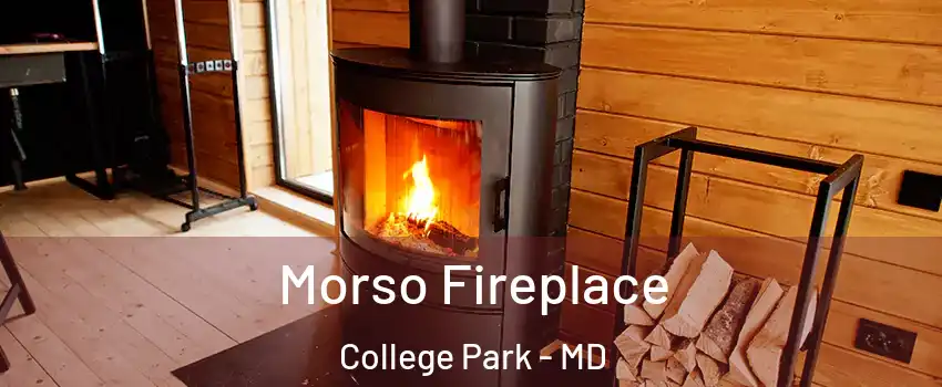  Morso Fireplace College Park - MD